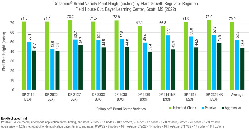 Figure 1. Plant height at harvest of Deltapine® brand cotton varieties at Scott, MS in 2022.  image